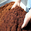 Coco Peat 500g – Premium Coconut Coir | Organic Soil Amendment for All Plants