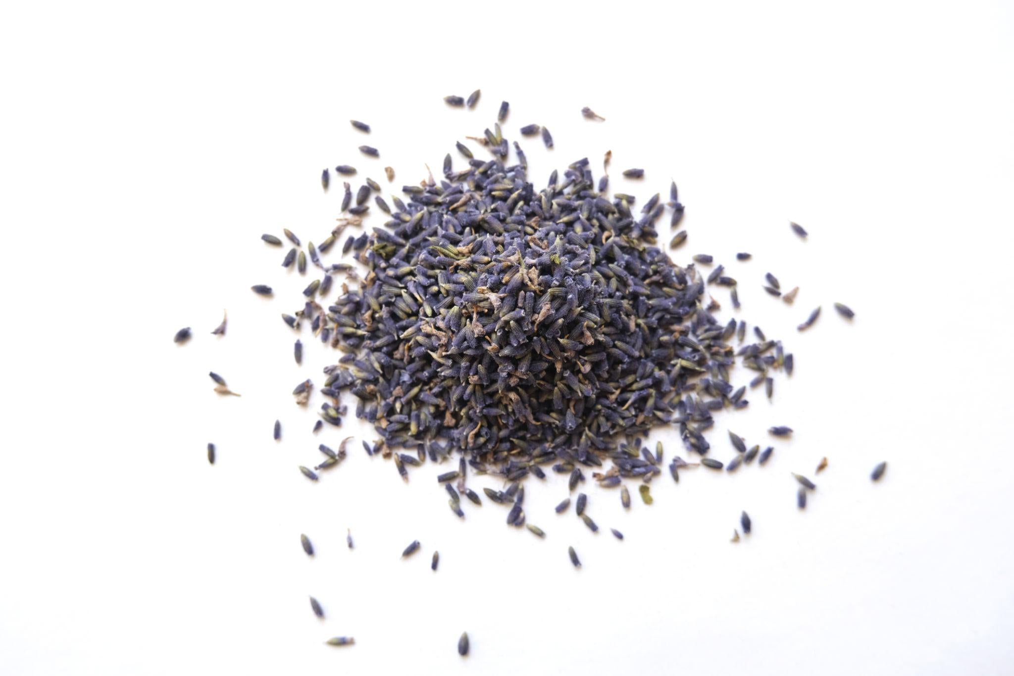 Lavender Seeds (50 Seeds) – Premium Aromatic Herb